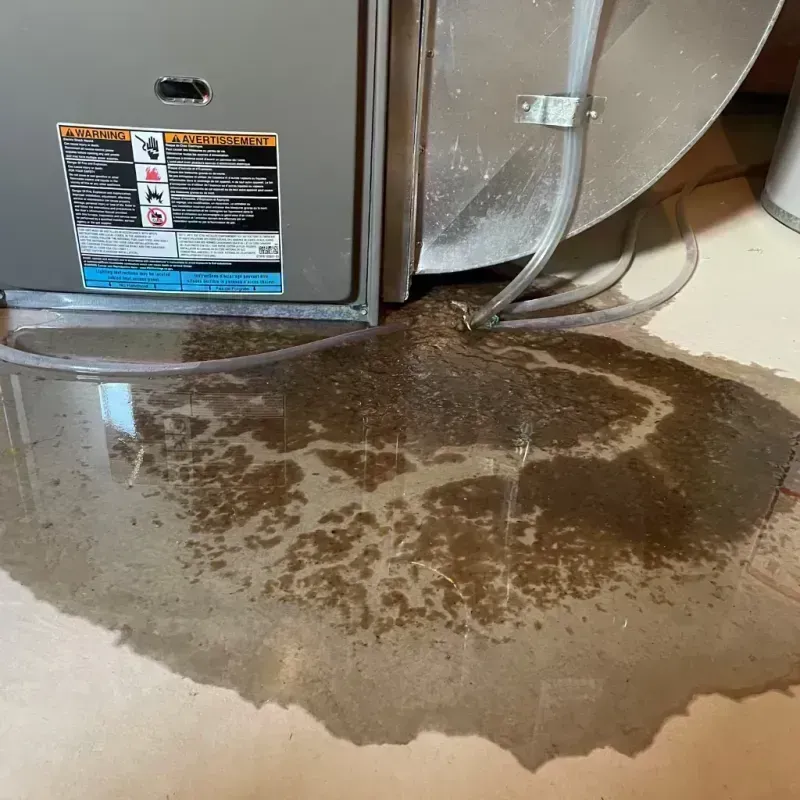 Appliance Leak Cleanup in Dunlap, IL